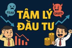 TÂM LÝ ĐẦU TƯ ỔN ĐỊNH GIÚP GIÀU BỀN VỮNG BẠN ĐỒNG Ý KHÔNG?