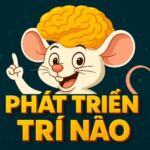 PHÁT TRIỂN TRÍ NÃO BẰNG ĐIỆN THOẠI HAY ĐỒ CHƠI SÁNG TẠO 1 PHÁT TRIỂN TRÍ NÃO BẰNG ĐIỆN THOẠI HAY ĐỒ CHƠI SÁNG TẠO