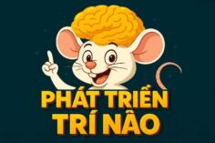 PHÁT TRIỂN TRÍ NÃO BẰNG ĐIỆN THOẠI HAY ĐỒ CHƠI SÁNG TẠO