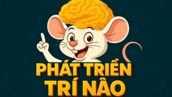 PHÁT TRIỂN TRÍ NÃO BẰNG ĐIỆN THOẠI HAY ĐỒ CHƠI SÁNG TẠO