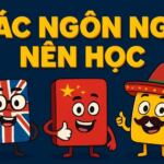 Từ Despacito Đến Hollywood: Các Ngôn Ngữ Nên Học Và Bí Mật Về Tiếng Mễ Ít Ai Biết 1 Từ Despacito Đến Hollywood: Các Ngôn Ngữ Nên Học Và Bí Mật Về Tiếng Mễ Ít Ai Biết