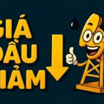 Giá Dầu Giảm và Chứng Khoán Đỏ Lửa: Cú Tát Kép Dành Cho Nhà Đầu Tư?
