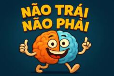 Não Trái Não Phải: Bạn Đang Lãng Phí "Vũ Khí" Mạnh Nhất Của Mình?